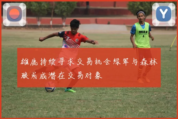 雄鹿持续寻求交易机会绿军与森林狼或成潜在交易对象