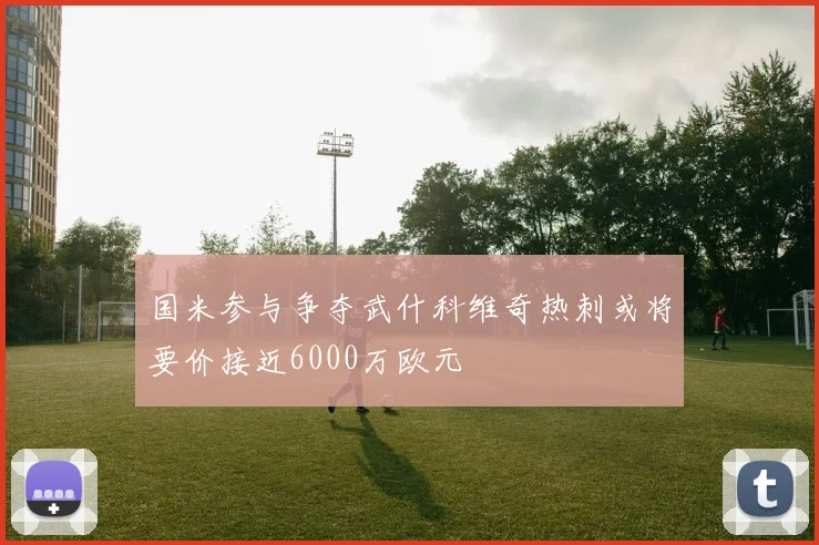 国米参与争夺武什科维奇热刺或将要价接近6000万欧元